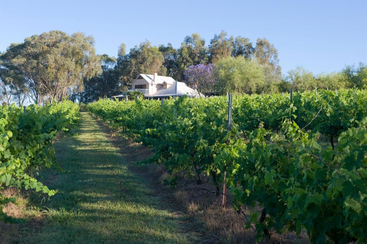 Hotel Spicers Vineyards Estate Pokolbin Exteriér fotografie